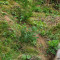 p9110064_93_pt1_130_tei.jpg