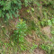p9110065_93_tei.jpg