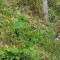 p9110066_93_tei.jpg