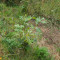 p9110067_93_tei.jpg