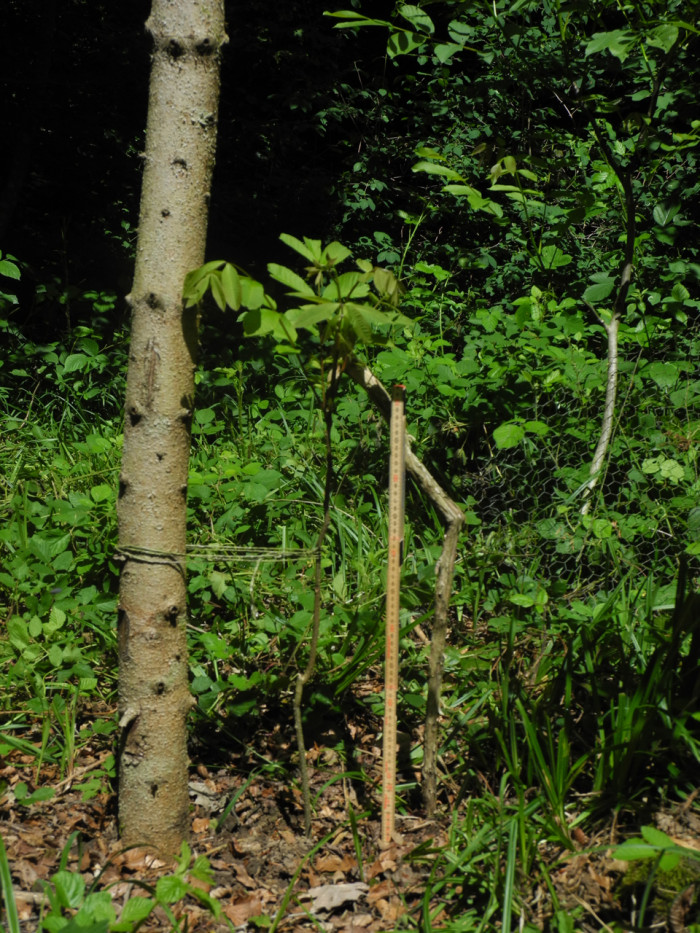 dscn9451.jpg