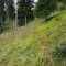 p9110021_100_pt1_355_wli.jpg