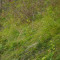 p9110022_100_pt1_355_wli_tel.jpg