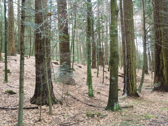 26003000_foto_2011.jpg