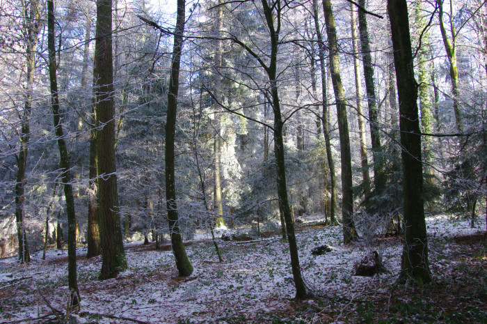 24031000_foto_2013.jpg