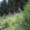 p9170015.jpg