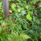 p9170018.jpg