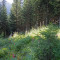 s1_2022-1725346744.jpg