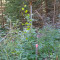 s1_2023_1-1725366635.jpg