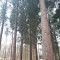 20220329_144439.jpg