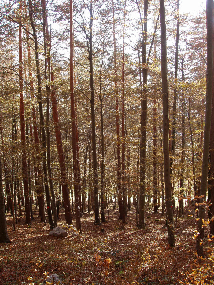 12012000_foto_2003.jpg