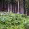 p9170006.jpg