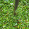 p9170007.jpg