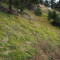 p9110023_100_pt1_280_sah_fah.jpg