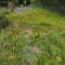 p9110025_100_pt1_5_fah_wli-1726143675.jpg