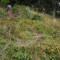 p9110026_100_pt2_25_bul_vki.jpg