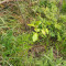 p9110028_100_pt2_25_vki.jpg