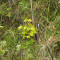 p9110032_100_sah.jpg