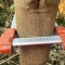 img-20250820-wa0000.jpg
