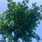 img-20250820-wa0004.jpg