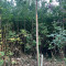 img-20250820-wa0007.jpg