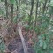 img_20260715_165024.jpg