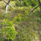p9110009_69_pt1_30_wli.jpg