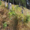 p9110010_69_pt2_60_fei.jpg