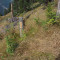 p9110013_69_eichen.jpg