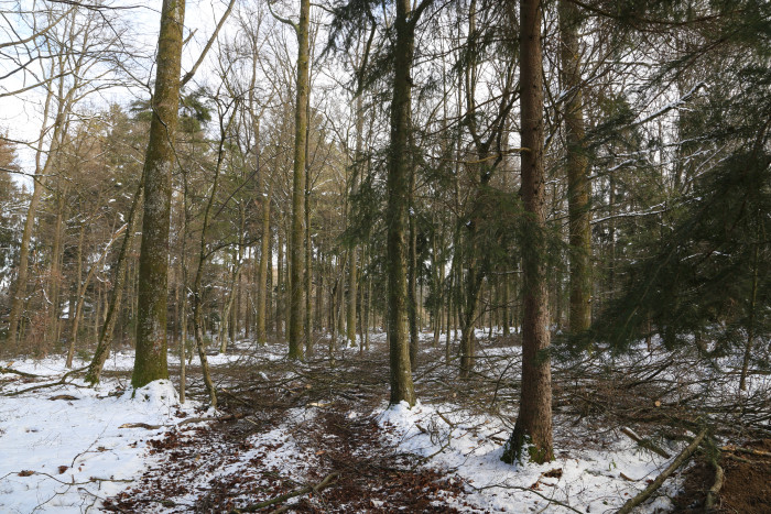 61011000_foto_2016.jpg