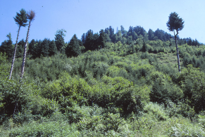 15009000_foto_2000.jpg