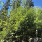 20250502_schwendiboden.jpg