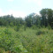045-vd-plantation--2-red.jpg