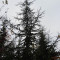 bestand-2021-3.jpg