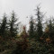 bestand-2021-4.jpg