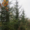 bestand-2021-5.jpg