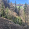 20250328_salenwald-grosser-zaun.jpg
