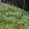 p9170009.jpg