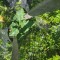 img_20260619_133648.jpg