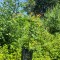 img_20260619_134339.jpg