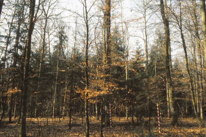 61009000_foto_1993.jpg