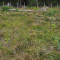 p9110071_94_pt1_60_bul.jpg