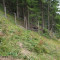 p9110074_94_pt1_150_bul.jpg