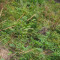 p9110075_94_pt1_150_bul.jpg