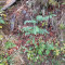 20231026_101144.jpg