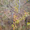 20231026_103054.jpg