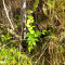 20231026_120139.jpg