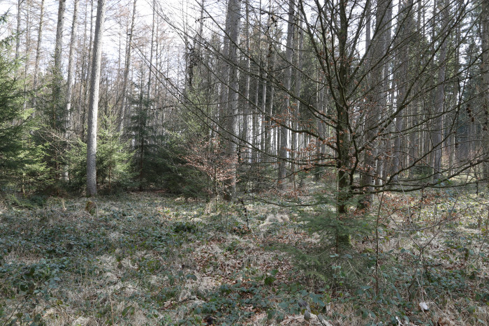 36002000_foto_2016.jpg