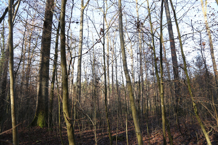 42005000_foto_2014.jpg