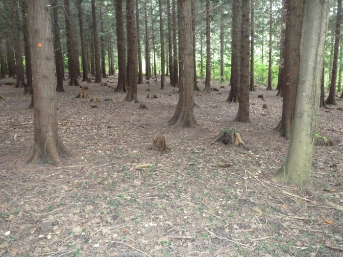 34003000_foto_2011.jpg